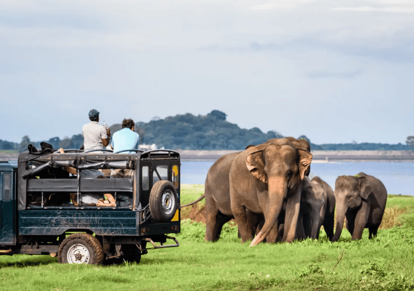 Udawalawe National Park