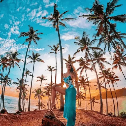 Coconut Tree Hill